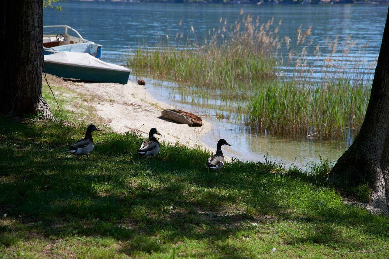 emy lake orta Pella Kültér fotó